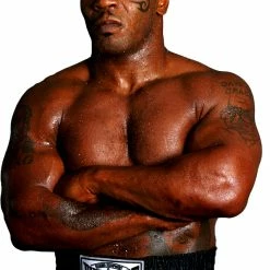 Iconsofboxing.com Mike Tyson Signed Punch-Out 18x22 Custom Framed Photo (JSA COA)