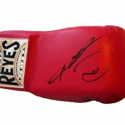 Iconsofboxing.com BOXING MEMORABILIA Sugar Ray Leonard Autographed Reyes Boxing Glove