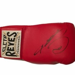Iconsofboxing.com Sugar Ray Leonard Autographed Reyes Boxing Glove TOP FIGHTERS