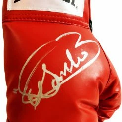 Iconsofboxing.com Saul Canelo Alvarez Silver Signature Autographed Everlast Boxing Glove BOXING MEMORABILIA