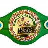 Iconsofboxing.com Creed 2 WBC Custom Made Movie Boxing Belt With Cast Photos.