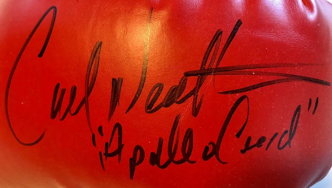 Iconsofboxing.com Carl Weathers Autographed Everlast Boxing Glove Inscribed "Apollo Creed"