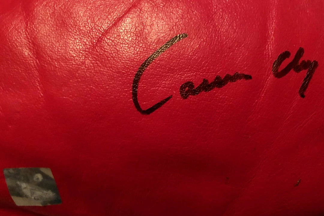 Iconsofboxing.com BOXING MEMORABILIA Cassius Clay Autographed Boxing Glove With SSG Certification Right Hand Glove