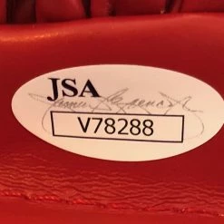 Iconsofboxing.com Deontay Wilder Red Everlast Autographed Boxing Glove In Black Marker. JSA