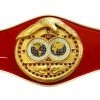 Iconsofboxing.com TOP FIGHTERS Errol Spence Jr. Silver Autographed IBF Championship 3/4 Size Belt