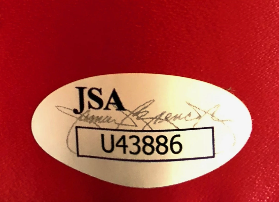 Iconsofboxing.com TOP FIGHTERS Errol Spence Jr. Silver Autographed IBF Championship 3/4 Size Belt