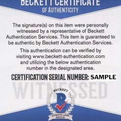 Iconsofboxing.com Floyd Mayweather Jr. Vs Canelo Signed 16x20 Photo (Beckett COA) TOP FIGHTERS