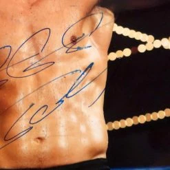 Iconsofboxing.com Gennady Golovkin Triple GGG Autographed 8x10 Photo JSA BOXING MEMORABILIA