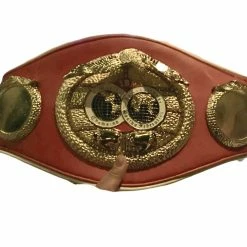Iconsofboxing.com Vasyl Lomachenko Autographed Championship Boxing IBF Belt In Black Signature TOP FIGHTERS