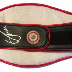 Iconsofboxing.com Vasyl Lomachenko Autographed Championship Boxing WBA Belt In Silver Signature