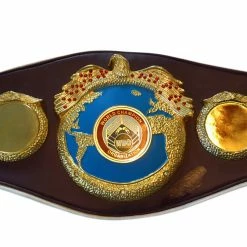 Iconsofboxing.com Vasyl Lomachenko Autographed Championship Boxing WBO Belt In Silver Signature