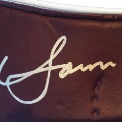 Iconsofboxing.com Vasyl Lomachenko Autographed Championship Boxing WBO Belt In Silver Signature