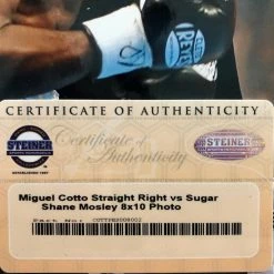Iconsofboxing.com BOXING MEMORABILIA Miguel Cotto Autographed 8 X 10 Steiner Certified Boxing Photo