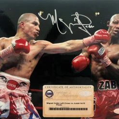 Iconsofboxing.com Miguel Cotto Autographed 8 X 10 Steiner Certified Boxing Photo Vs Zab
