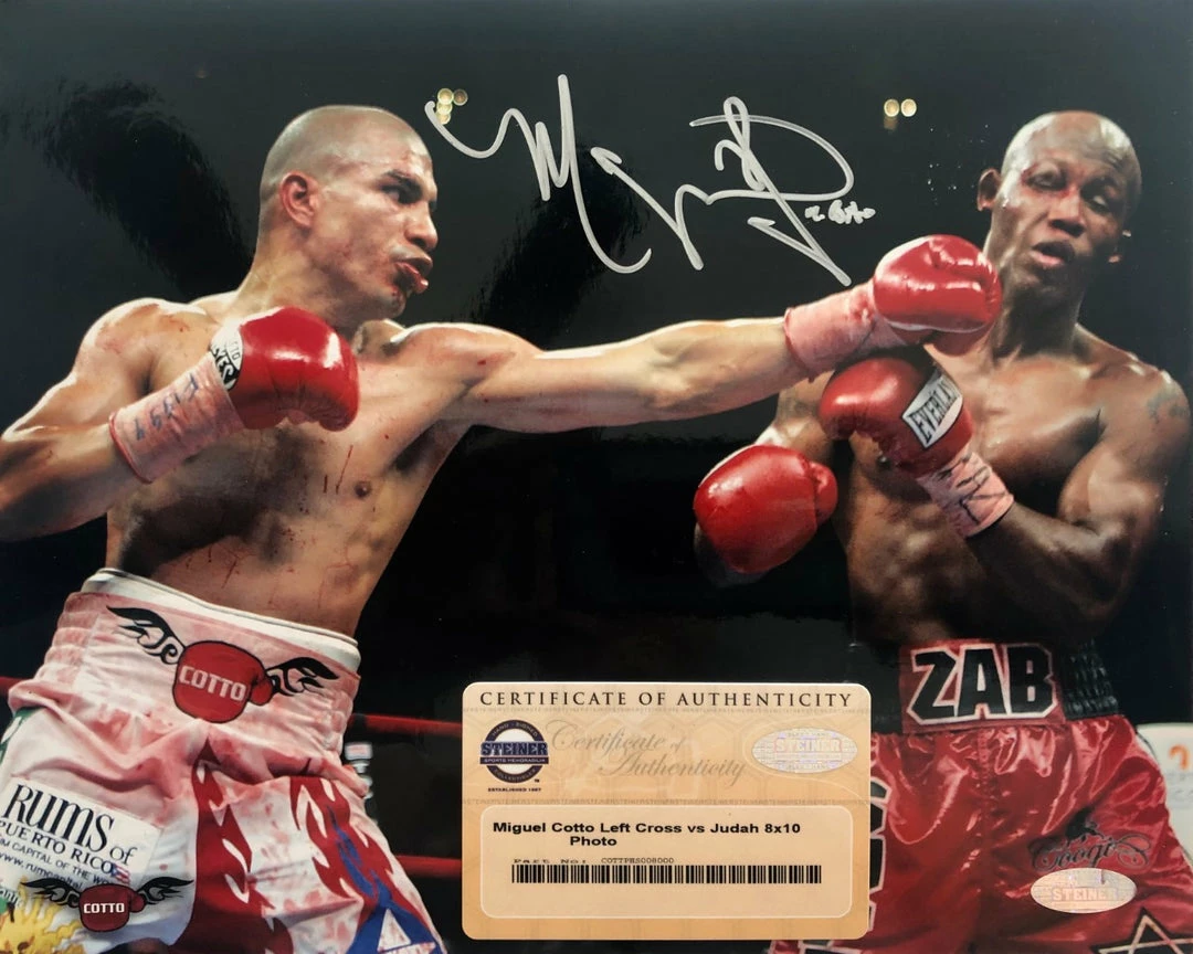 Iconsofboxing.com Miguel Cotto Autographed 8 X 10 Steiner Certified Boxing Photo Vs Zab