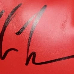 Iconsofboxing.com Mike Tyson Signed 22x26x5 Custom Framed Shadowbox Boxing Glove Display JSA