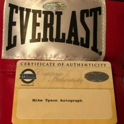 Iconsofboxing.com Mike Gerald Tyson Autographed Red Everlast Boxing Glove Steiner Sports Certified BOXING MEMORABILIA