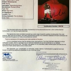 Iconsofboxing.com BOXING MEMORABILIA Muhammad Ali Autographed And Painted Everlast Boxing Glov, JSA Cert