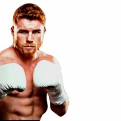 Iconsofboxing.com Saul Canelo Alvarez Silver Signature Autographed Everlast Boxing Glove BOXING MEMORABILIA