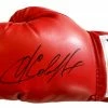 Iconsofboxing.com Sergey Krusher Kovalev Autographed Everlast Boxing Glove With COA BOXING MEMORABILIA