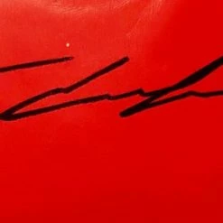 Iconsofboxing.com BOXING MEMORABILIA Terence Crawford Autographed Red Everlast Boxing Glove