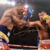 Iconsofboxing.com Vasyl Lomachenko Action Packed Autographed 8x10 Fighting Photo With A Gold Signature, JSA TOP FIGHTERS