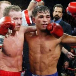 Iconsofboxing.com Irish Micky Ward The Fighter Signed Painted Autographed Boxing Glove