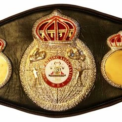 Iconsofboxing.com Vasyl Lomachenko Autographed Championship Boxing WBA Belt In Gold Signature