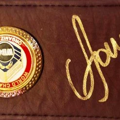 Iconsofboxing.com TOP FIGHTERS Vasyl Lomachenko Autographed Championship Boxing WBO Belt In Gold Signature
