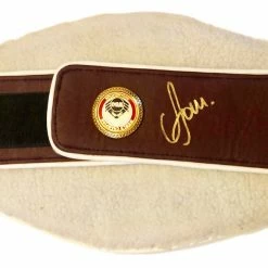 Iconsofboxing.com TOP FIGHTERS Vasyl Lomachenko Autographed Championship Boxing WBO Belt In Gold Signature