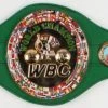Iconsofboxing.com George Foreman Signed Full-Size WBC Heavyweight Championship Belt (JSA COA & Foreman Hologram)