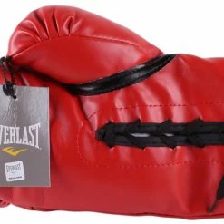 Iconsofboxing.com BOXING MEMORABILIA Ray "Boom Boom" Mancini Signed Everlast Boxing Glove Inscribed "Pride Of Youngstown" (JSA COA)