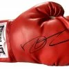 Iconsofboxing.com Dolph Lundgren Autographed Everlast Boxing Glove "Drago" JSA Certified