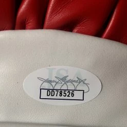 Iconsofboxing.com Dolph Lundgren Autographed Everlast Boxing Glove