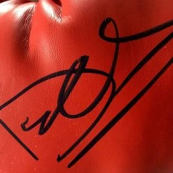 Iconsofboxing.com Dolph Lundgren Autographed Everlast Boxing Glove "Drago" JSA Certified BOXING MEMORABILIA
