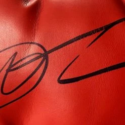 Iconsofboxing.com Dolph Lundgren Autographed Everlast Boxing Glove "Drago" JSA Certified