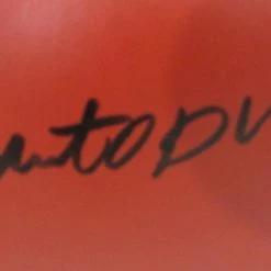 Iconsofboxing.com TOP FIGHTERS Roberto Duran Signed Everlast Boxing Glove (JSA COA)