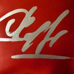 Iconsofboxing.com Sergey Krusher Kovalev Silver Autographed Everlast Boxing Glove With JSA Cert