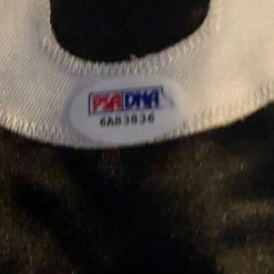 Iconsofboxing.com Mike Tyson Signed