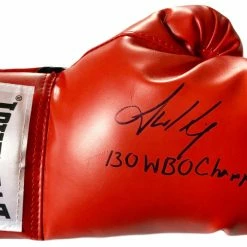 Iconsofboxing.com BOXING MEMORABILIA Jamel Herring Autographed Everlast Boxing Glove 130 WBO Champion, Photo Proof