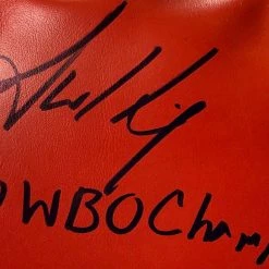 Iconsofboxing.com BOXING MEMORABILIA Jamel Herring Autographed Everlast Boxing Glove 130 WBO Champion, Photo Proof