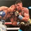 Iconsofboxing.com Vasyl Lomachenko Autographed 8 X 10 Photo In Gold Signature, JSA CERT