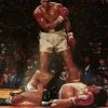 Iconsofboxing.com Muhammad Ali Over Sonny Liston Autographed 20 X 30 Size Photo In Black And White Ali Co.