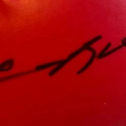 Iconsofboxing.com BOXING MEMORABILIA Sugar Ray Leonard Autographed Everlast Boxing Glove With ASI And JSA Cert