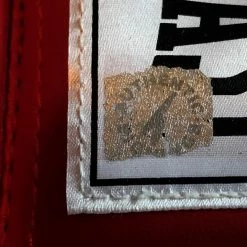 Iconsofboxing.com BOXING MEMORABILIA Sugar Ray Leonard Autographed Everlast Boxing Glove With ASI And JSA Cert