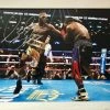 Iconsofboxing.com Deontay Wilder 16x20 Framed White Autographed Boxing Photo Autographed Certified Beckett BOXING MEMORABILIA