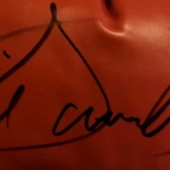 Iconsofboxing.com 'Saul' Canelo Alvarez Autographed Signed Everlast Boxing Glove