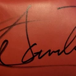Iconsofboxing.com 'Saul' Canelo Alvarez Autographed Signed Everlast Boxing Glove