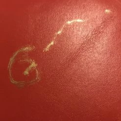 Iconsofboxing.com Gerald McClellan Autographed Red Everlast Boxing Glove WBO Champ