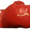 Iconsofboxing.com Gerald McClellan Autographed Red Everlast Boxing Glove WBO Champ BOXING MEMORABILIA
